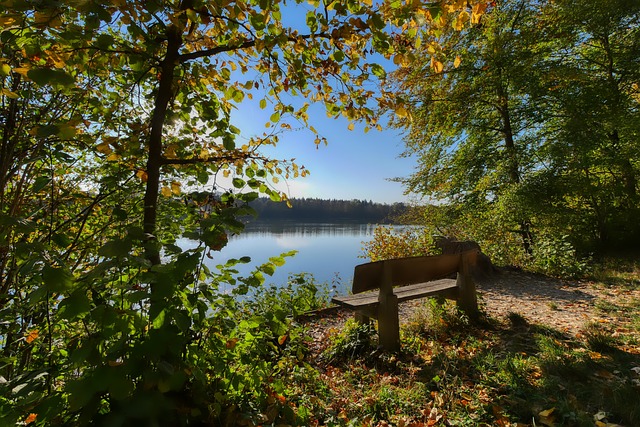 足球是圆的 足球是圆的