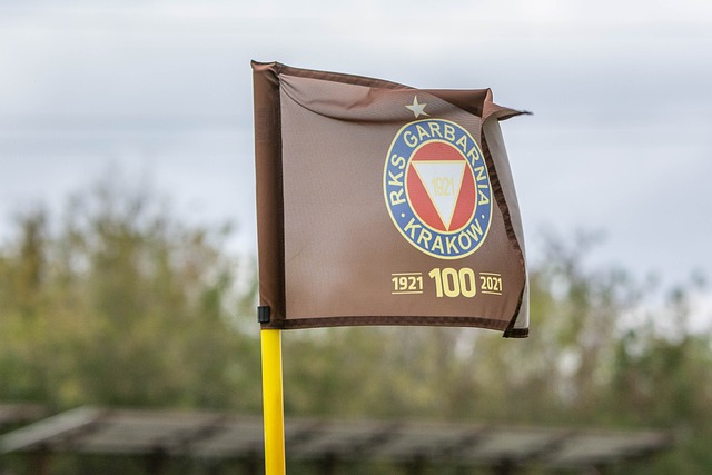 这无疑是解 这无疑是解