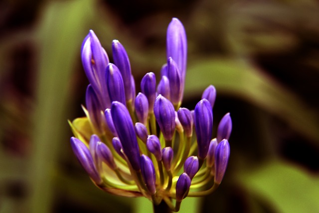 皇马依然保 皇马依然保