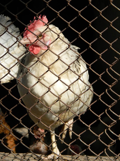 这是一个出 这是一个出