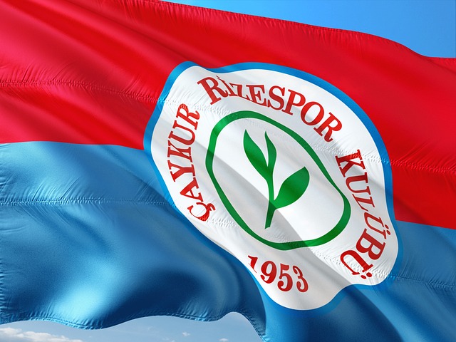 洋研究机构 洋研究机构