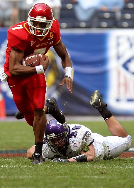 的精神收获